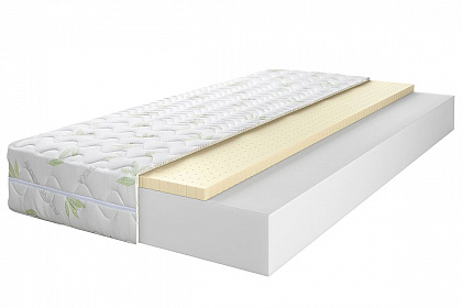 Concept 2 Aloe Vera